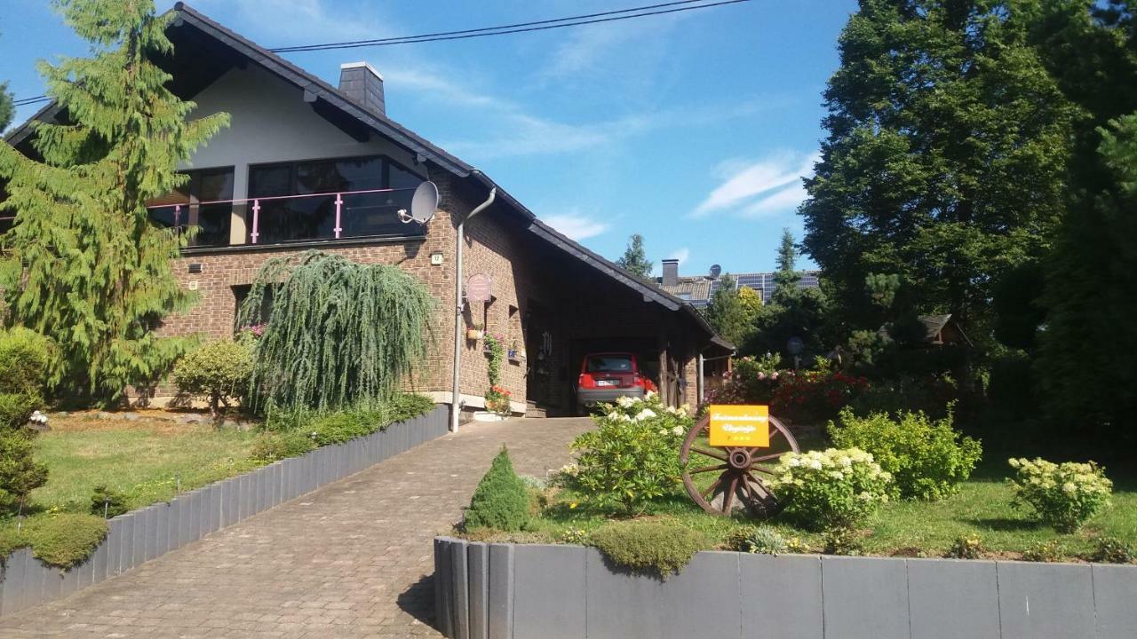 Ferienwohnung Virginija Ditscheid Exterior photo